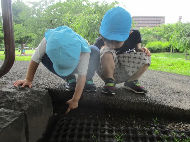 image01