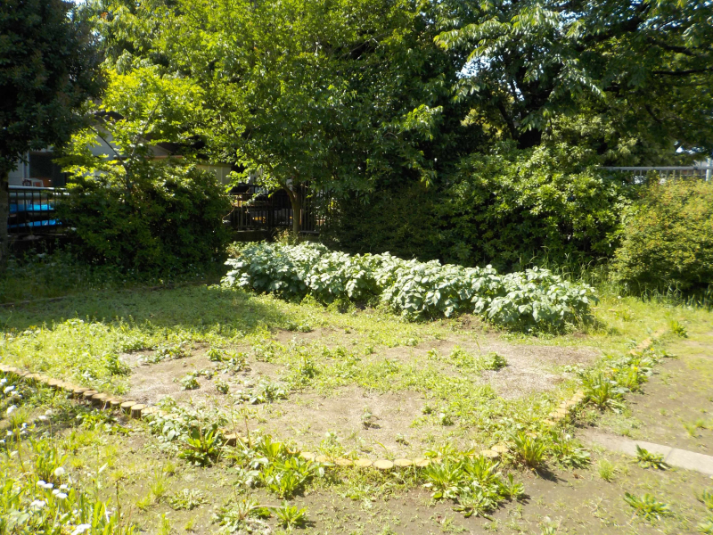 image01