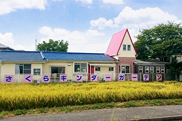 櫻の園 名古屋市千種区】まだ桜が楽しめますよ！ 平和公園の「櫻の園