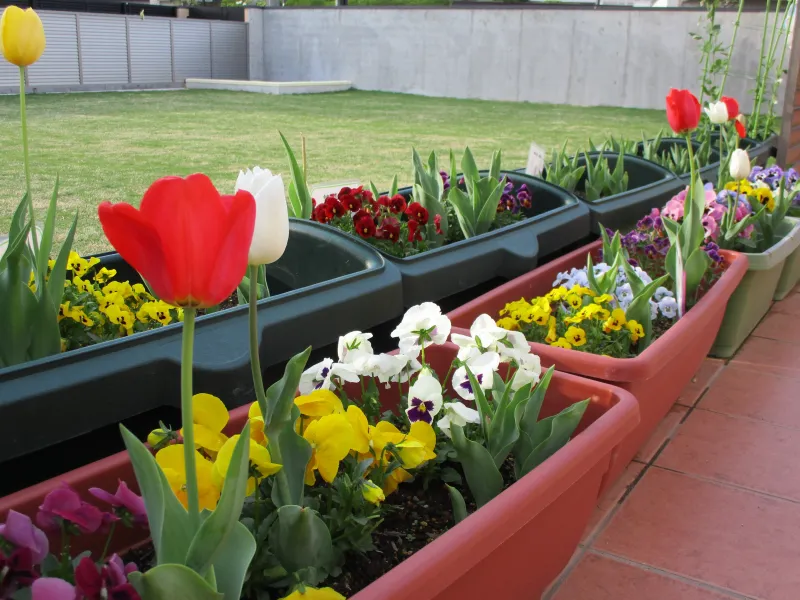 image01