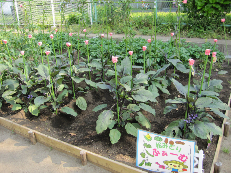image01